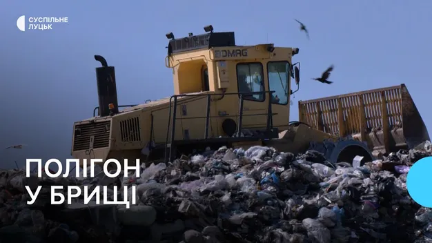 Збирають 90 тонн сміття: як працює полігон у Брищі під Луцьком (відео)
