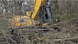 У Несвічі без дозволів викорчували дерева біля дороги (фото)