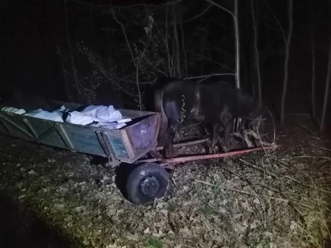 Контрабанда на підводах: волиняни везли 800 кілограмів сала до Білорусі (фото)