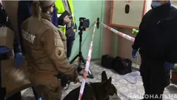Киянин жорстоко зарізав, а потім підпалив сина (фото, відео)