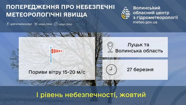 Рівень небезпечності «жовтий»: волинян попереджають про сильний вітер