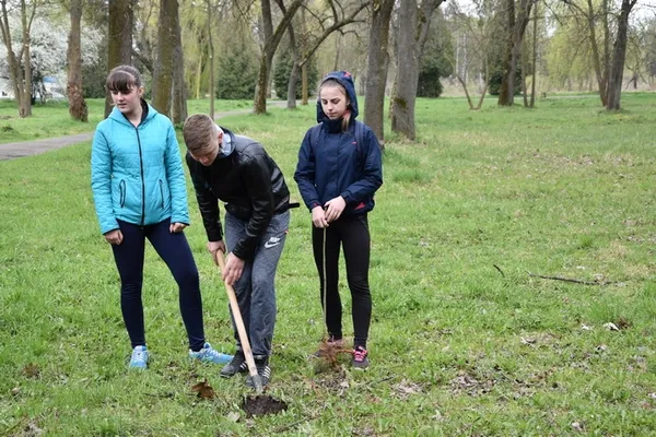 У центральному парку Луцька посадили нові дерева (фото)