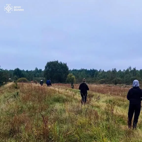 Зник у лісі: на Волині другу добу шукають 76-річного грибника (фото)