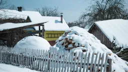 Як в дитинстві у бабусі: волинське село під покровом снігу (фото)
