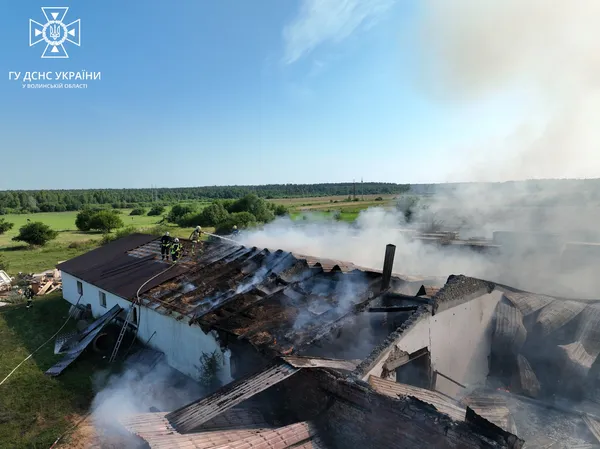 Знищено перекриття та обладнання: у Луцькому районі горів столярний цех (фото, відео)