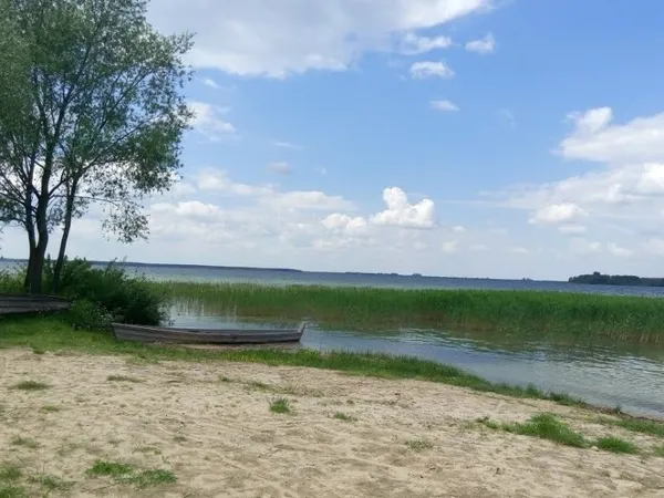 Лісівники відбудували базу відпочинку у Світязі (фото)