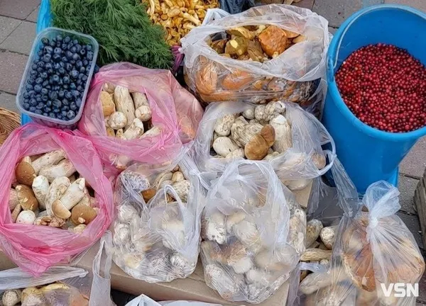 На ринку в Луцьку продають гриби: скільки коштує кілограм (фото)