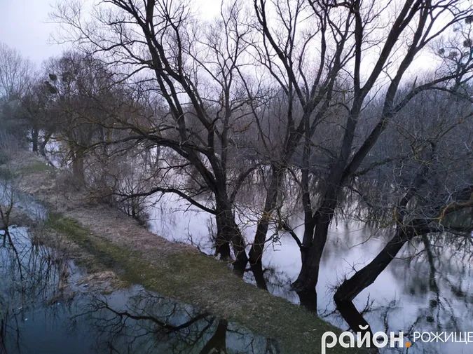 У Рожищі Стир вийшов із берегів: вона сягає стовбурів найближчих дерев (фото)