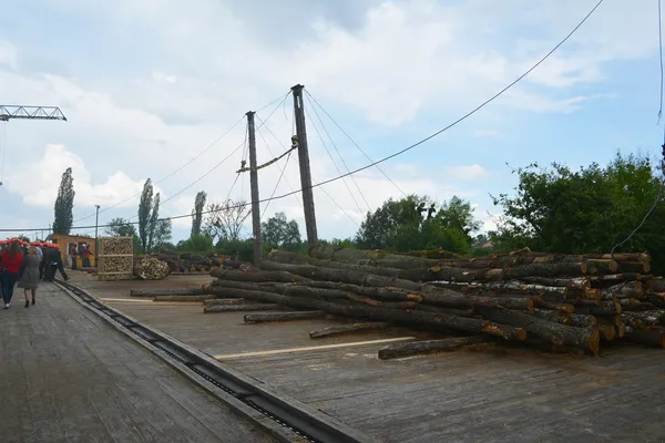 На нижній склад звозиться деревина і подається на первинну обробку чи продаж.