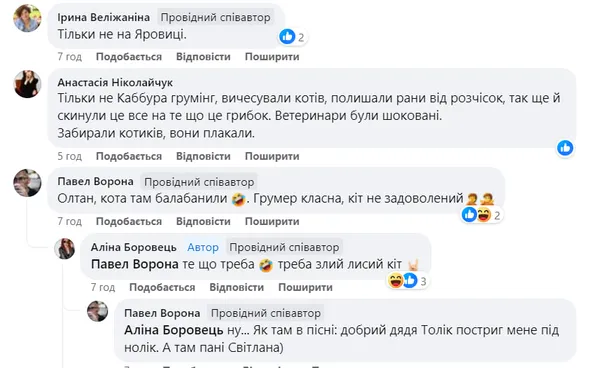 Куди лучани (не) водять своїх тварин на грумінг