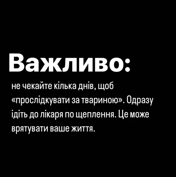Якщо вкусила скажена (і не тільки) тварина: поради луцьких лікарів