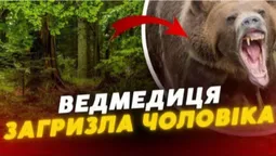 У Карпатах ведмедиця загризла ухилянта (відео)