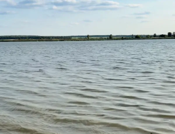 Сосновий ліс і чисті пляжі: біля Луцька є ідеальне місце відпочинку, де мало людей і багато риби (відео)