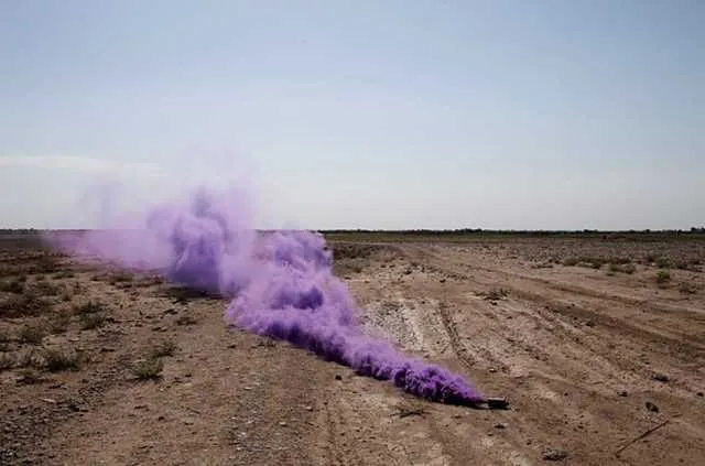 Міноборони закупило на 72 мільйони димову суміш для обкурювання дерев 