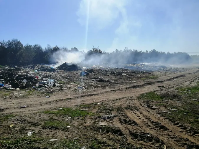 Біля Цумані горів ліс: на місці організували цілодобове чергування (фото, відео)