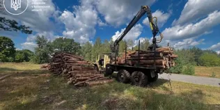 На Любомльщині серед лісу помітили 70 м³ «лівої» деревини (фото)