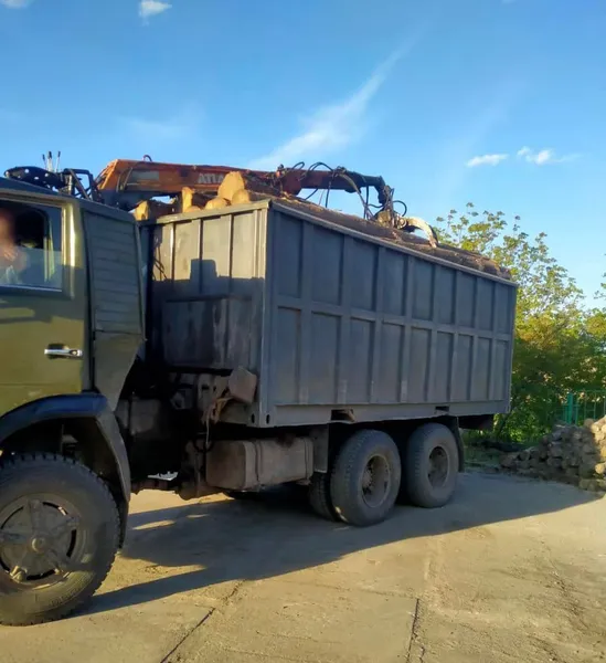 У Луцькому районі виявили завантажений незаконною деревиною КамАЗ (фото, відео)