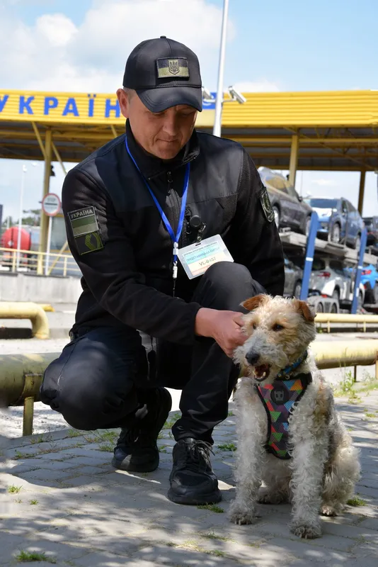 Шукає зброю та вибухівку: з волинськими прикордонниками служить фокстер'єр Фоксі (фото)