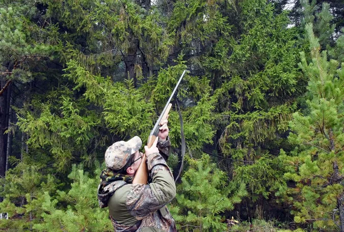 Вбита косуля та голодні свині: на Волині у фірми забрали мисливські угіддя (деталі)