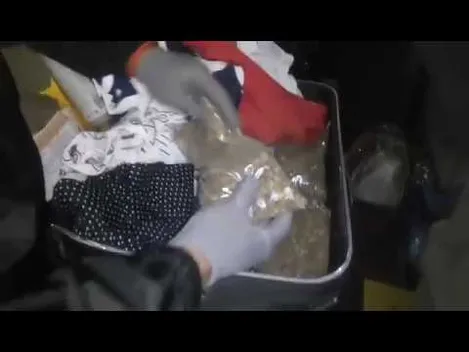 На «Ягодині» затримали волинянку із бурштином у валізі (фото, відео)