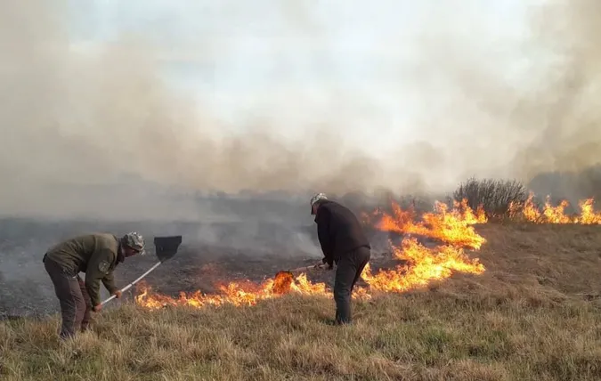 На Волині горів нацпарк (фото)
