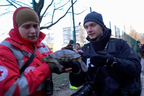 В Києві знайшли черепаху, яка вціліла після обстрілу будинку (фото)
