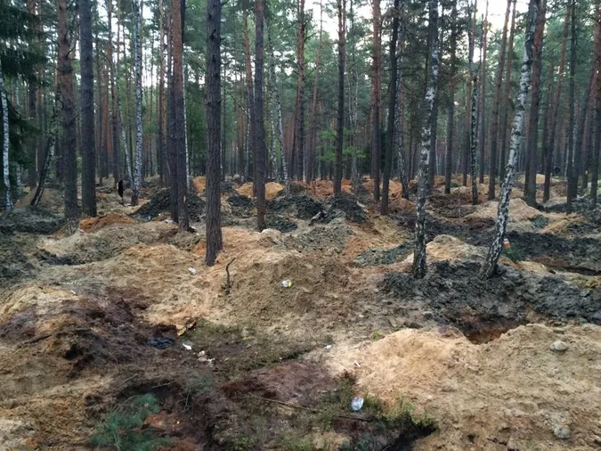 На Волині поліція разом із СБУ вгамовували бурштинокопачів