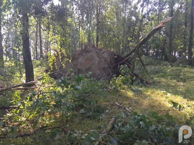 На Волині буревій наробив лиха (фото, відео)