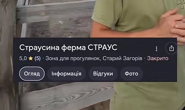 Скоро будуть малята: де на Волині є страусина ферма