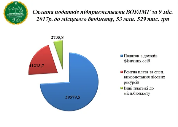 Волинські лісівники відзвітували про свою роботу