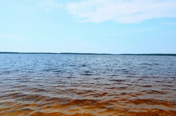 На Волині через демаркацію може зникнути Біле озеро
