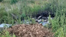 На Волині виявили стихійне сміттєзвалище просто посеред поля (фото)