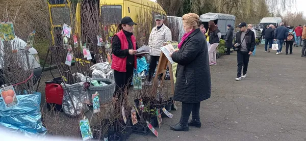 На Волині перевіряють продавців саджанців (фото)