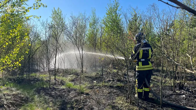 На Волині пожежа із сухостою перекинулася на торфовище (фото)