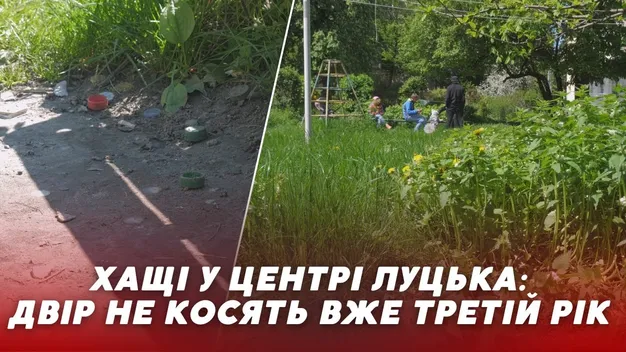 Хащі у центрі Луцька – двір не косять третій рік (відео)