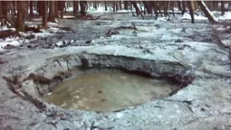 На Рівненщині затримали бурштинокопачів