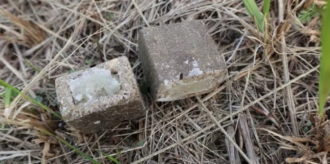 На Волині за 10 днів розкидали майже 400 приманок з вакциною від сказу (фото)