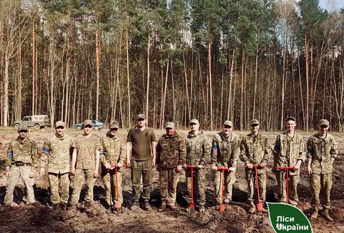 Ліс створює необхідні бар’єри: на Волині прикордонники висаджують дерева (фото)
