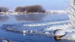 У Володимирі на березі знайшли тіло дитини (фото 18+, оновлено)