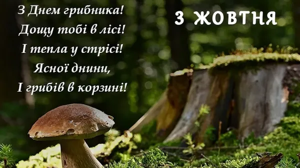 3 жовтня – День грибника: найкращі листівки та теплі привітання