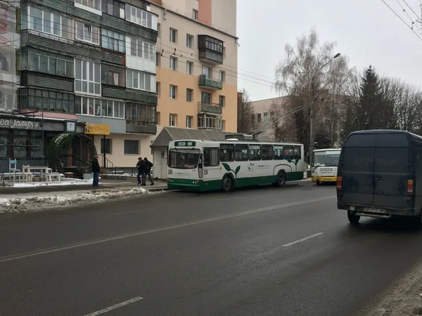 У Луцьку масово зупинилися тролейбуси (фото)