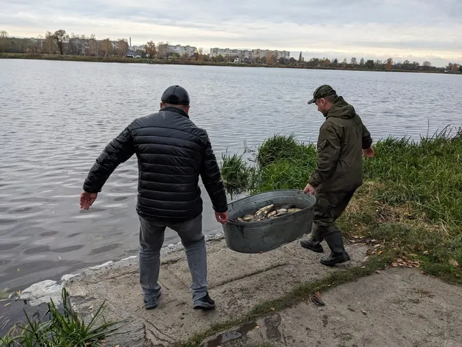 Пів тонни риби випустили у водосховище на Волині (фото)