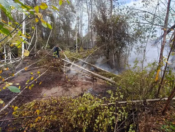 🔥 Майже 6 годин боротьби з вогнем: на Ковельщині горів торф (фото)