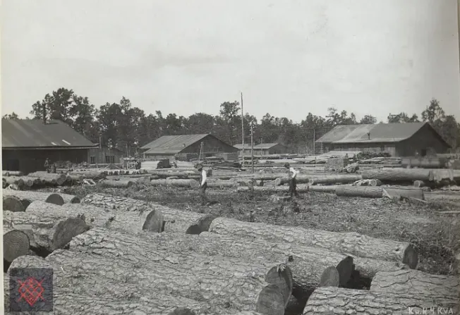 Обробка поваленого лісу в селі Чернявка, 1917 рік