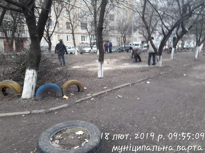 У луцькому дворі незаконно зрізали дерева (фото)