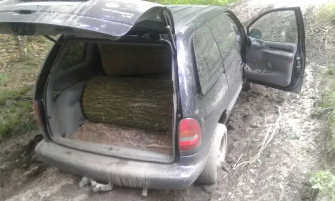 На Волині крадії лісу на «євробляхах» намагалися вивезти дуби