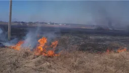 Лісівники Волині допомагають гасити пожежі на території громад (фото)
