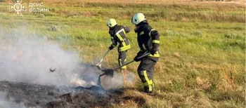 Майже 4 гектари у вогні: на Волині палали сухостій і торфяник (фото)
