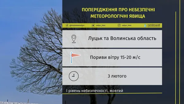 «Жовте» попередження: на Волині прогнозують сильний вітер