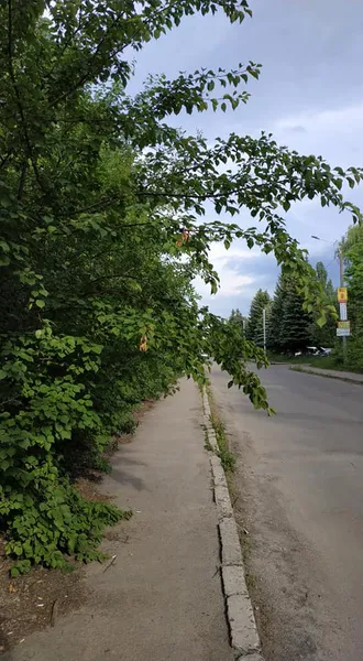 Шприци, пляшки і навіть унітаз: у Луцьку замість стежки – смуга перешкод (фотофакт)